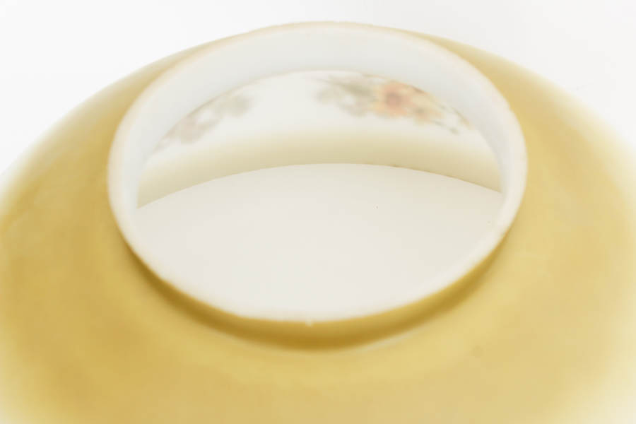 Hand-Painted Vintage Lampshade