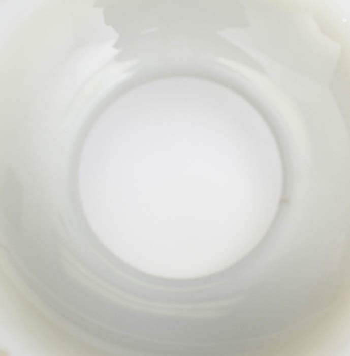 Hand-Painted Vintage Lampshade