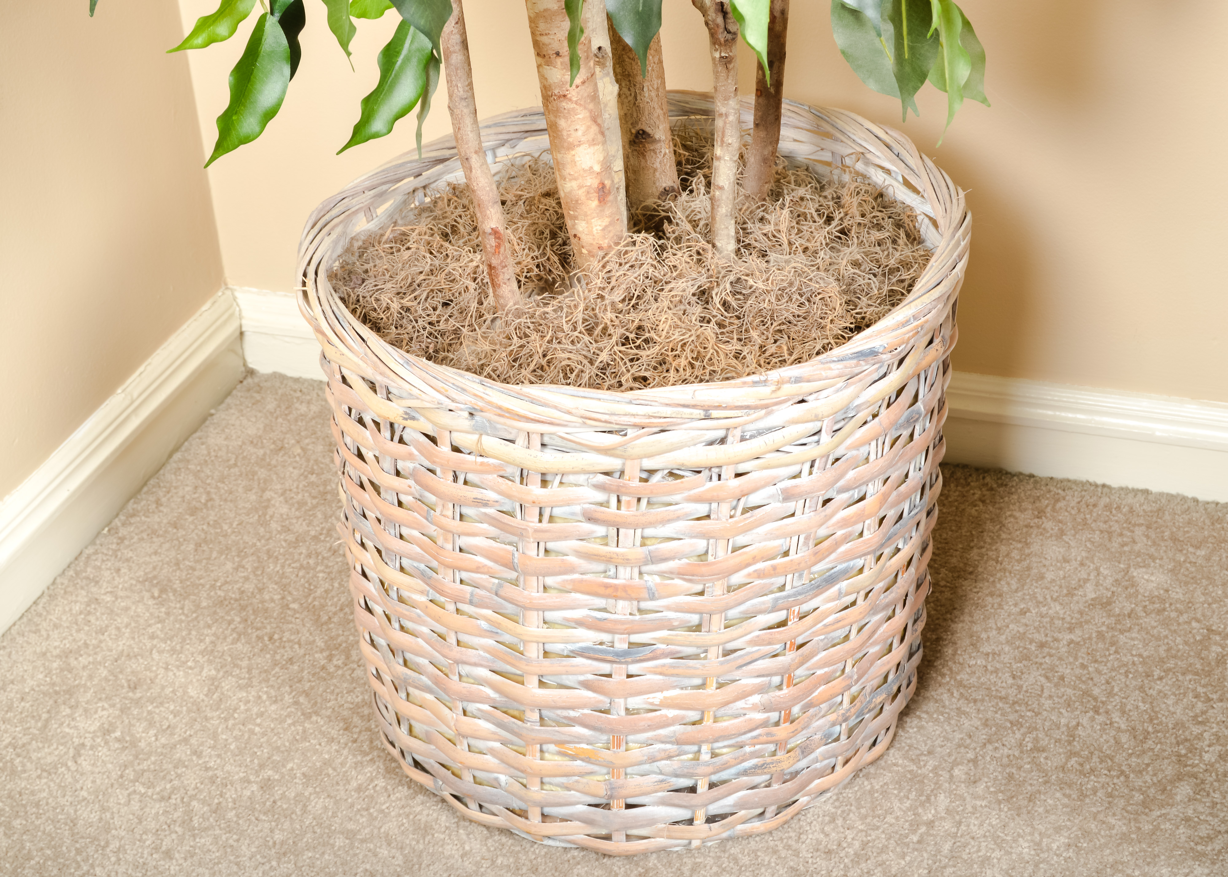 Artificial Indoor Potted Ficus