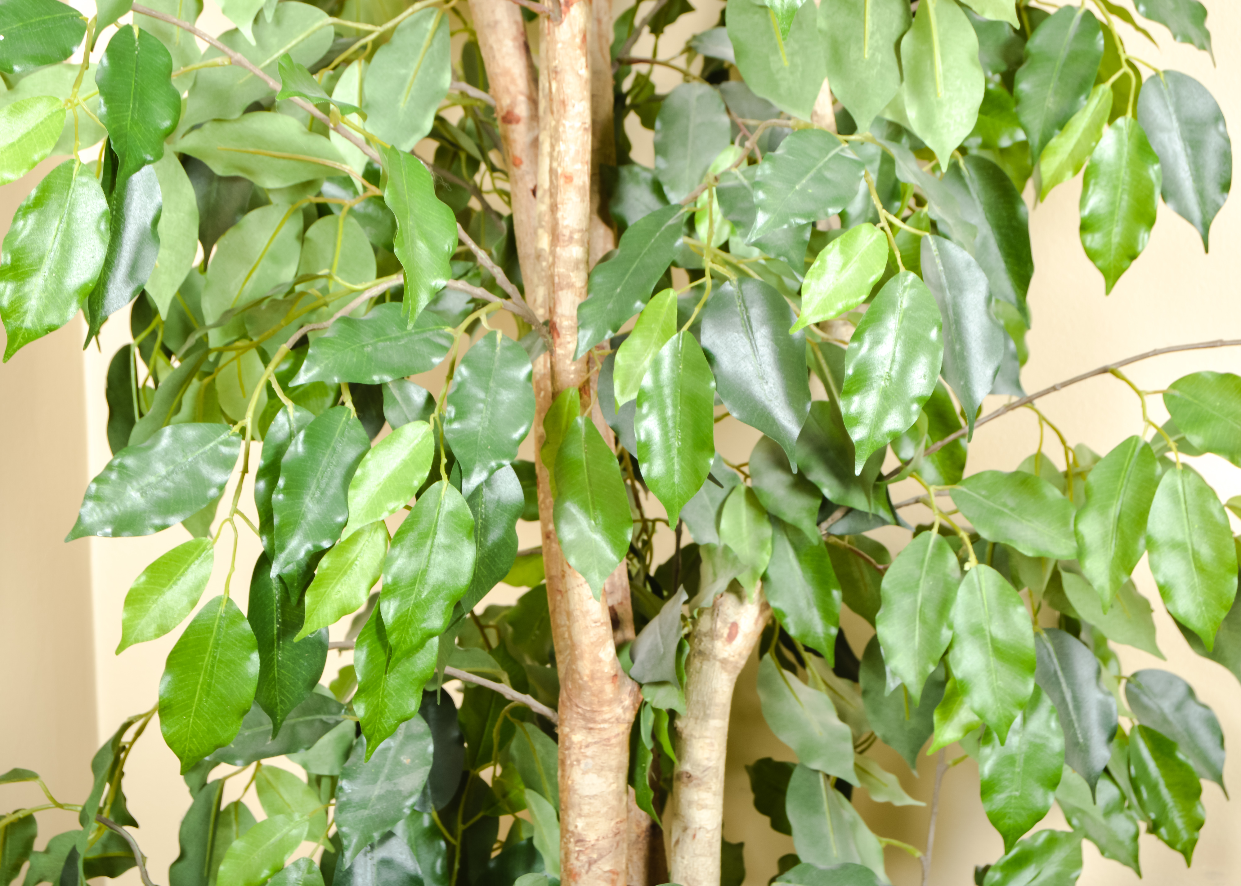 Artificial Indoor Potted Ficus