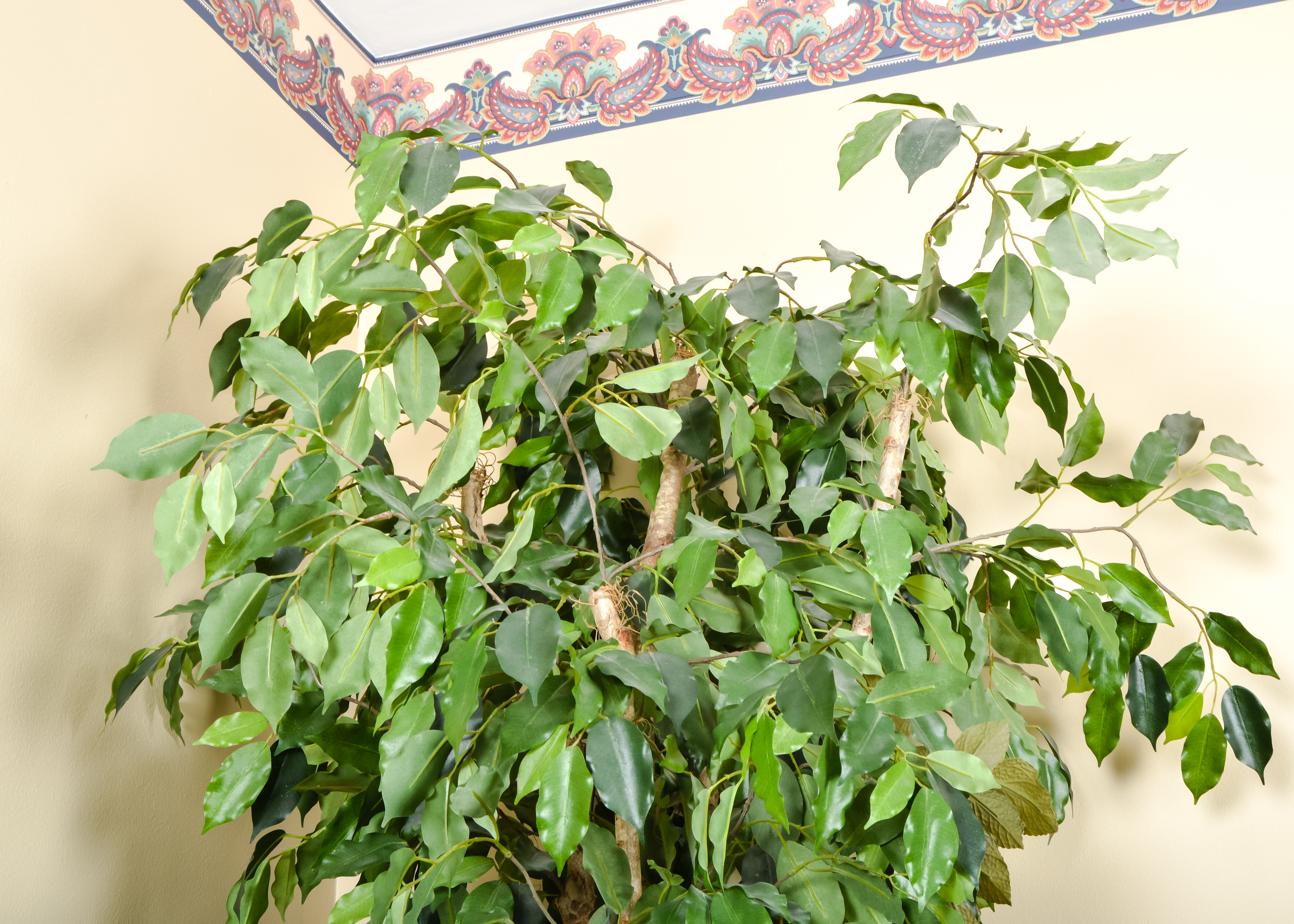 Artificial Indoor Potted Ficus