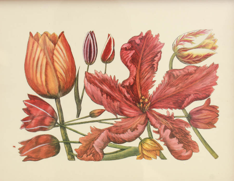 Belle Fleur Print Pair