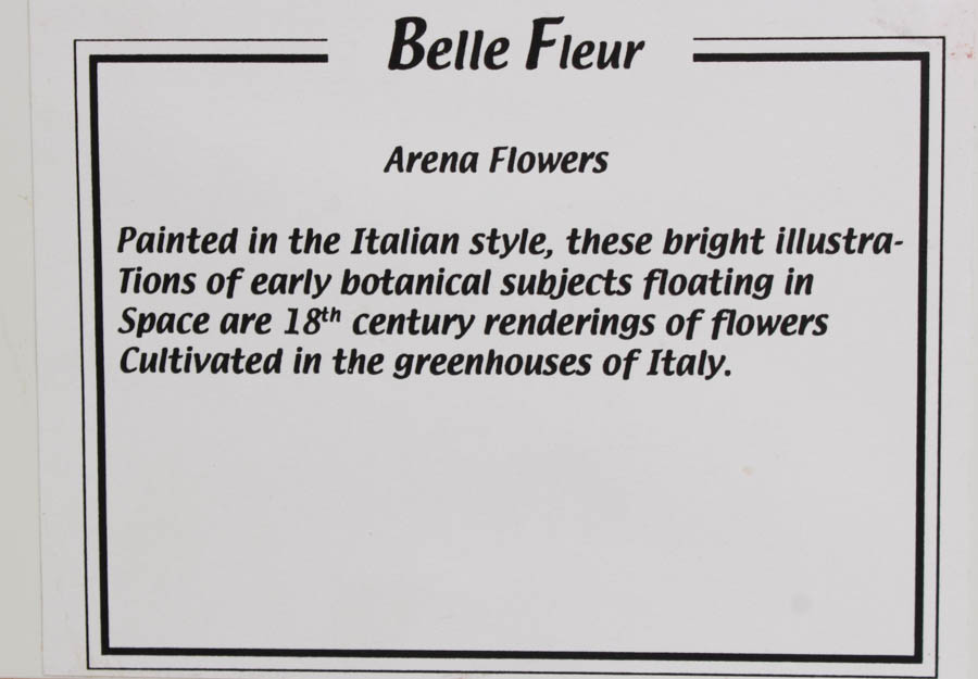 Belle Fleur Print Pair