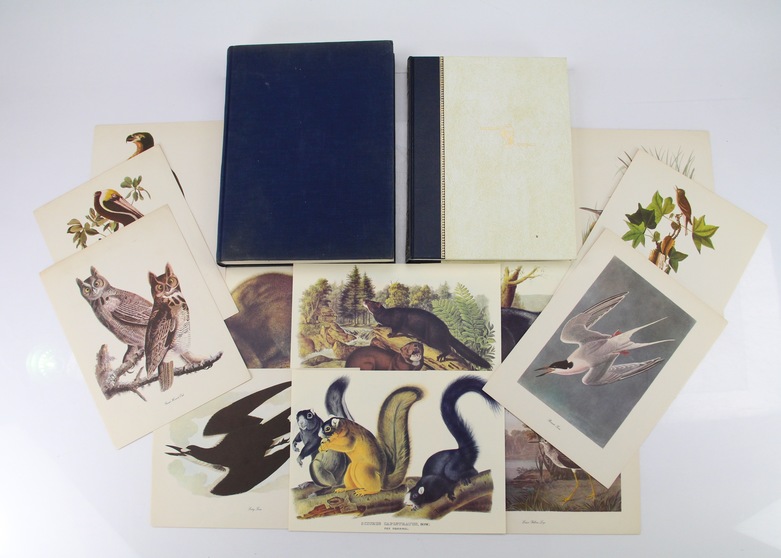 Audubon Animals by James Audubon and Birds of the World by Oliver L. Austin Jr.