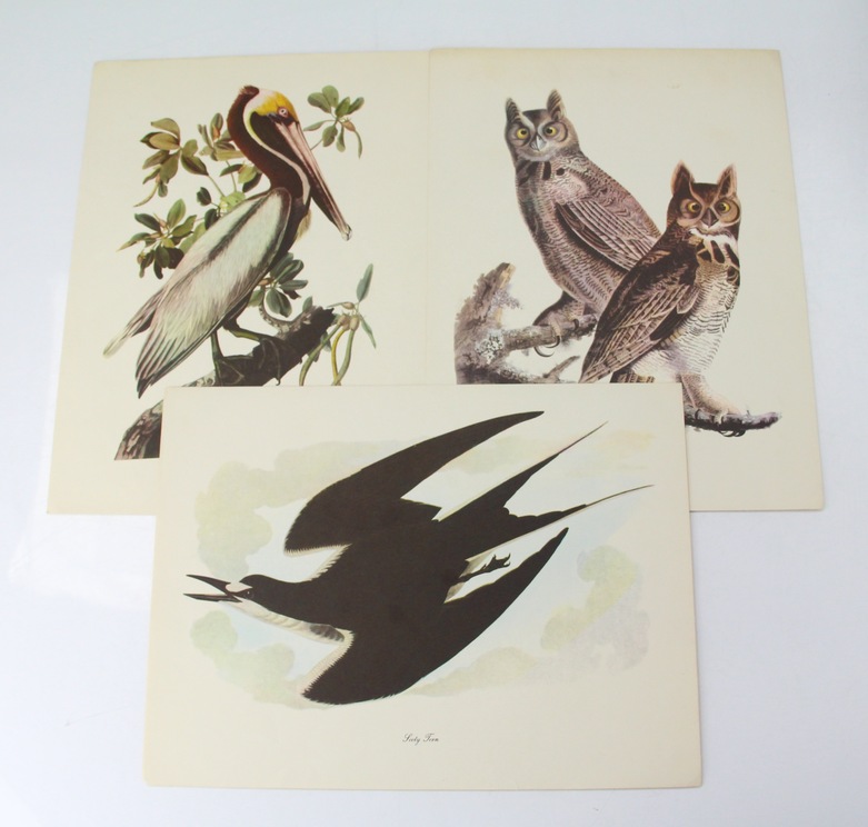 Audubon Animals by James Audubon and Birds of the World by Oliver L. Austin Jr.