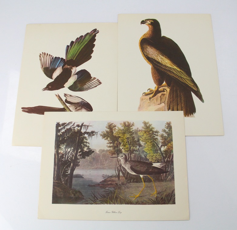 Audubon Animals by James Audubon and Birds of the World by Oliver L. Austin Jr.