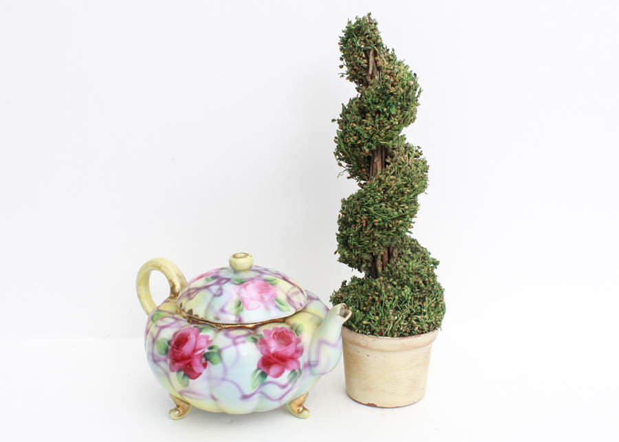 Teapot and Decorative Plant