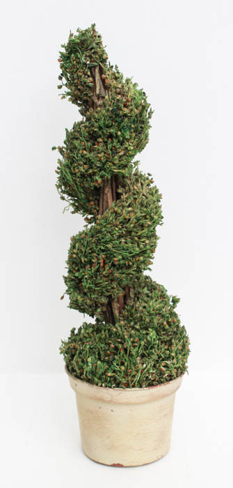 Teapot and Decorative Plant