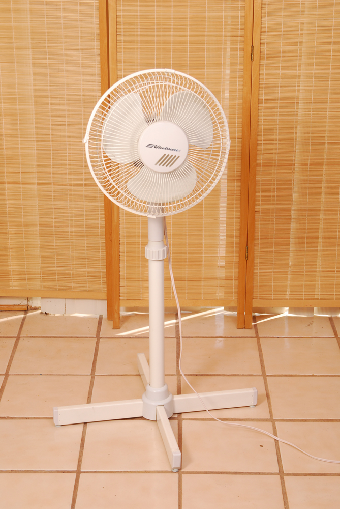Windmere Pedestal Fan