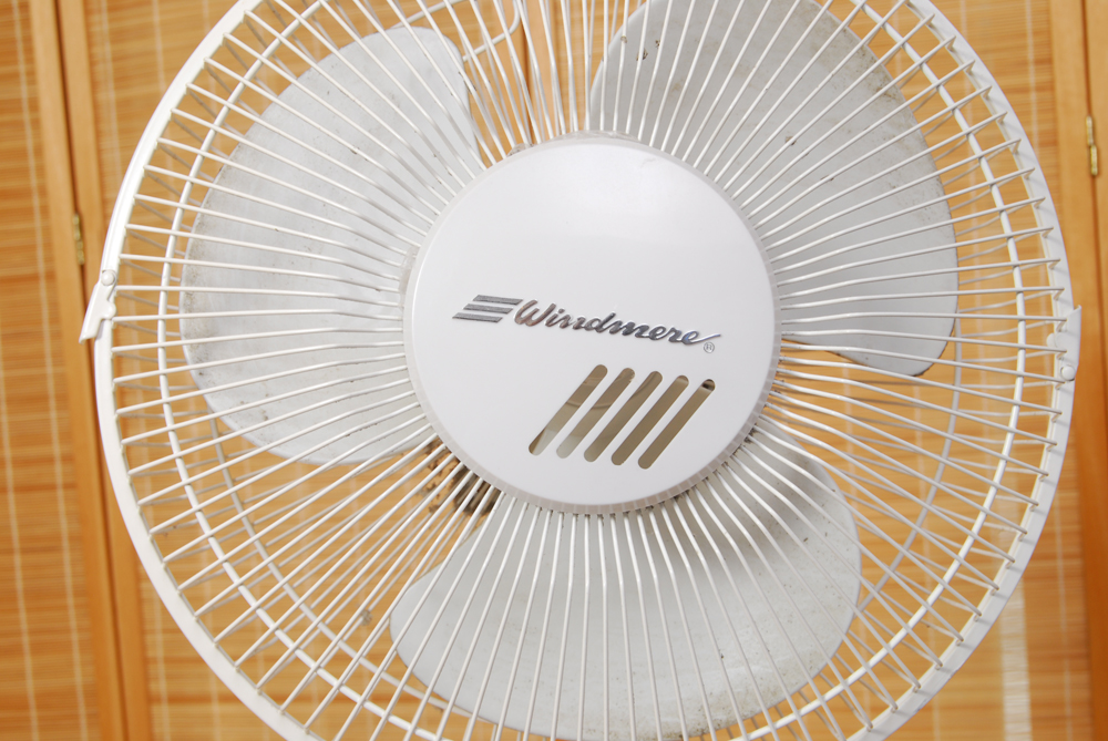 Windmere Pedestal Fan