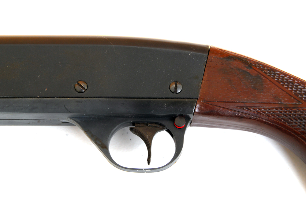 Pair of Daisy BB Guns