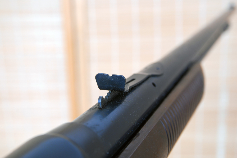 Pair of Daisy BB Guns