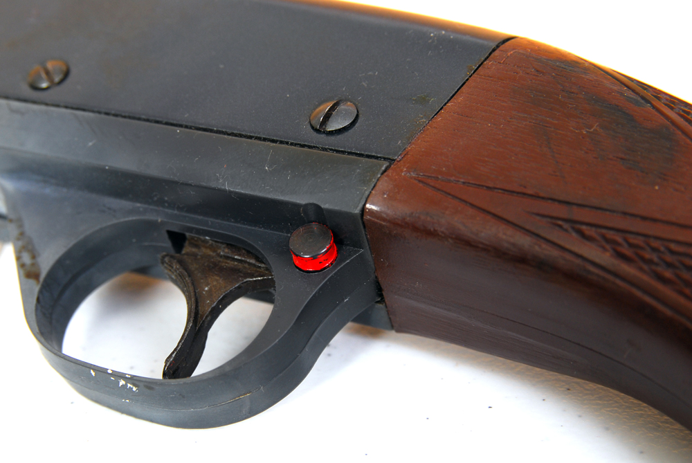 Pair of Daisy BB Guns