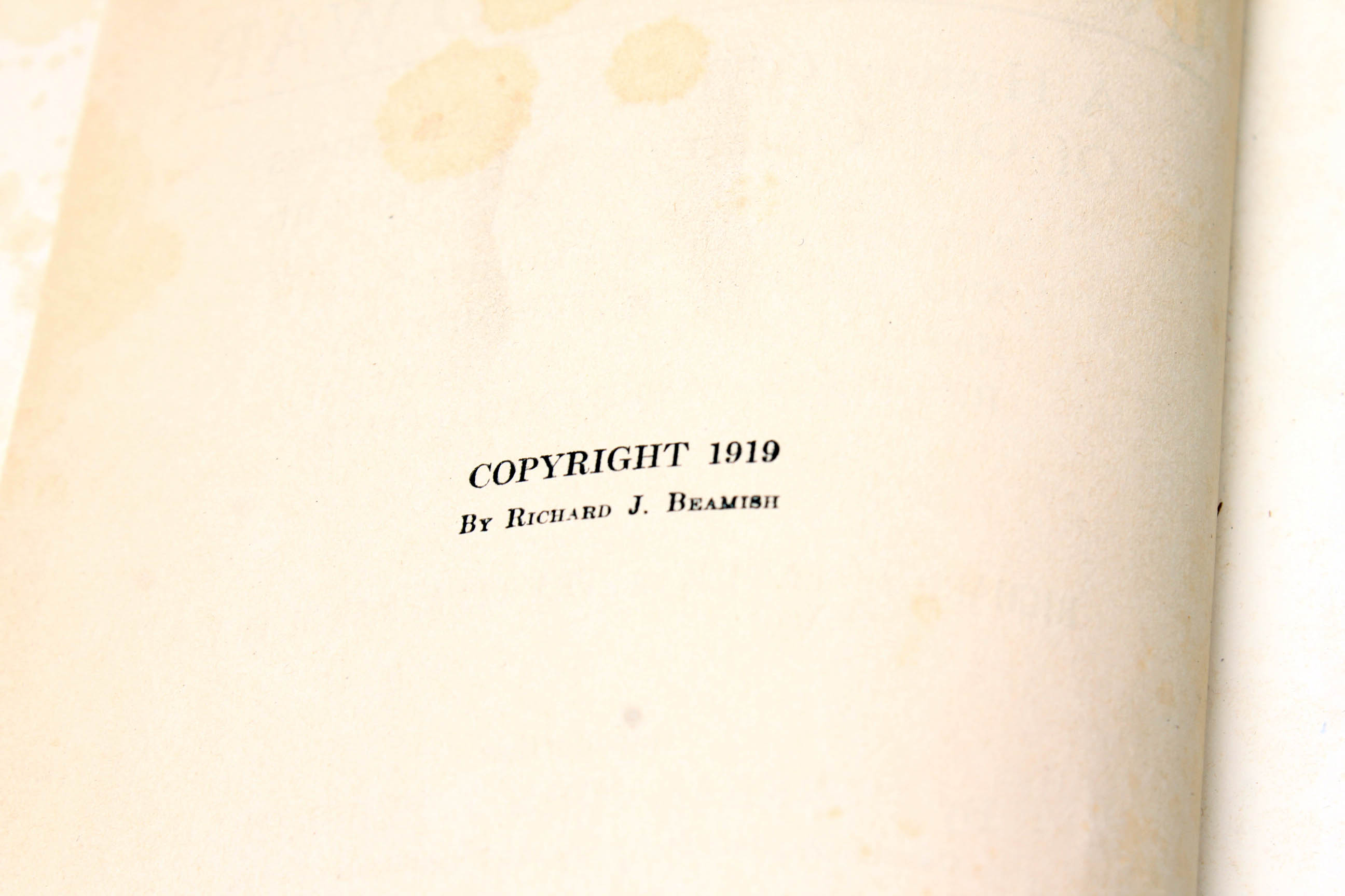 Pair of 1919 Books on WWI