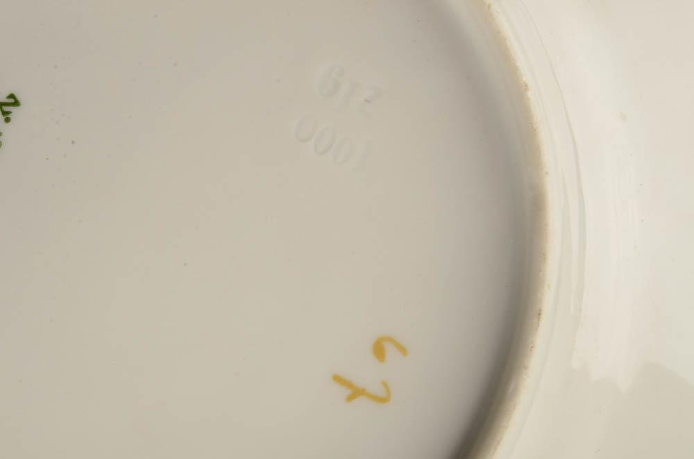 Antique MZ Austria Plates Including Napoleon