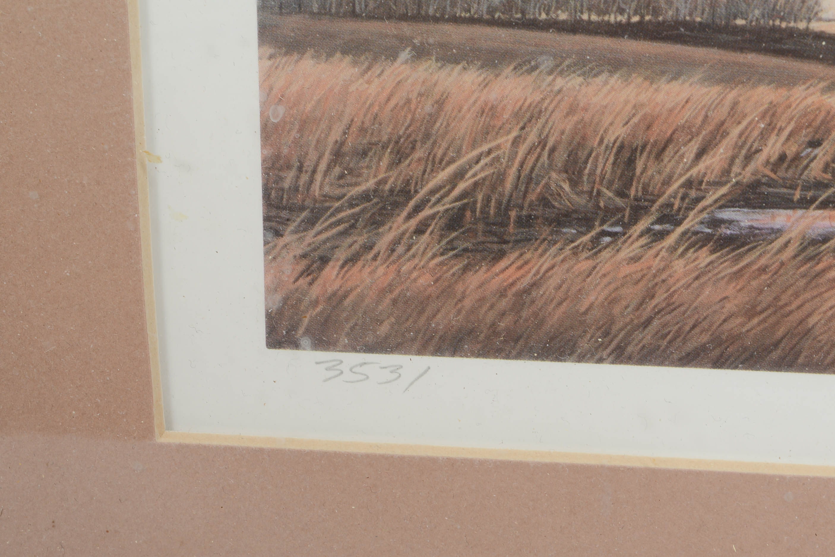 Signed J.S. Wilson Wild Life Print and Monteague Print