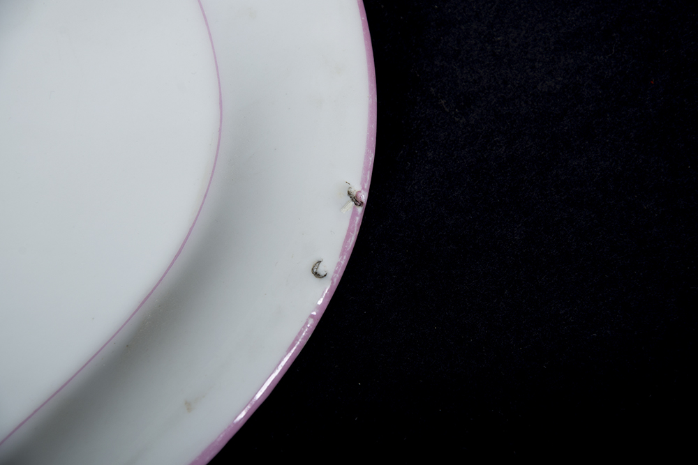 Haviland Limoges Dresser Tray