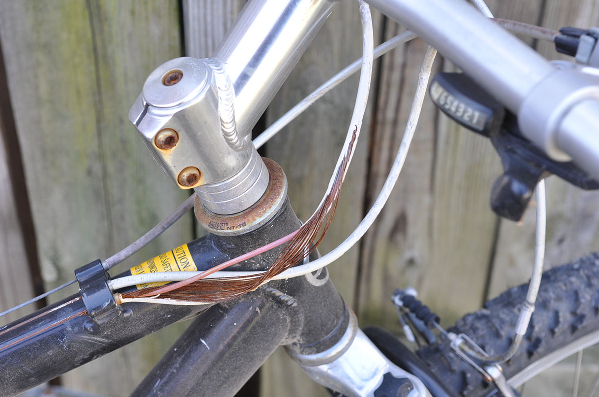 Giant 6061 GL Eddie Bauer Edition Bicycle