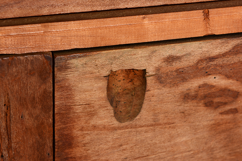 Antique Kentucky Made Chest of Drawers