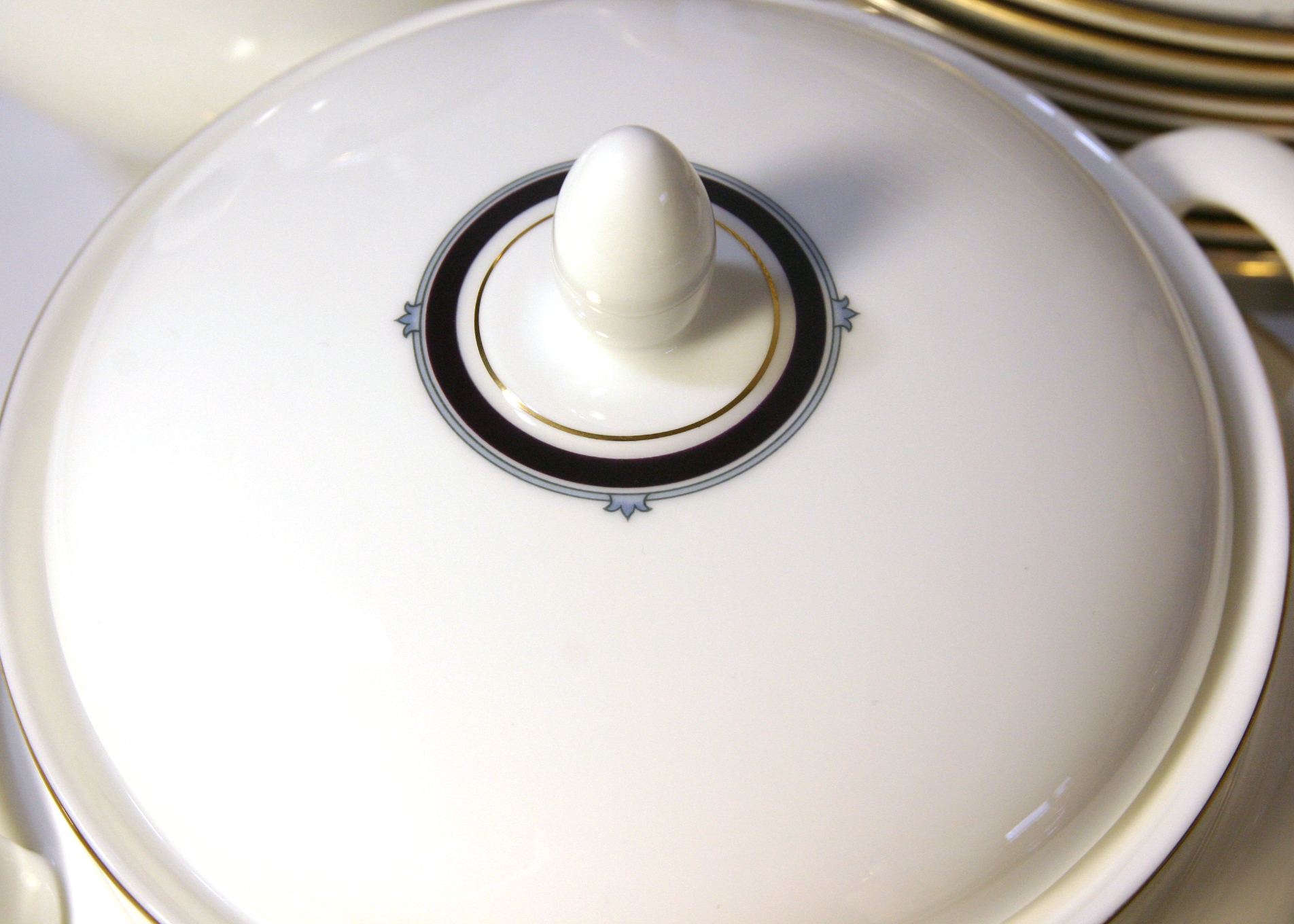 Royal Doulton "Princeton" Fine Bone China Set