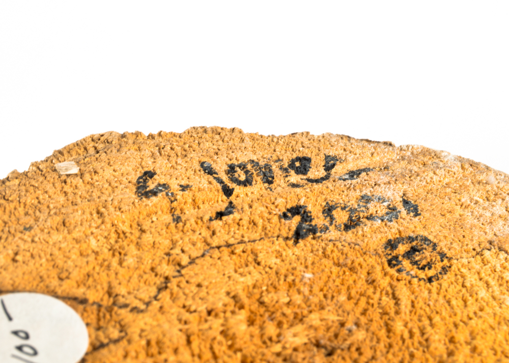 Original Gretchen Jones Painted Driftwood Santa Clauses