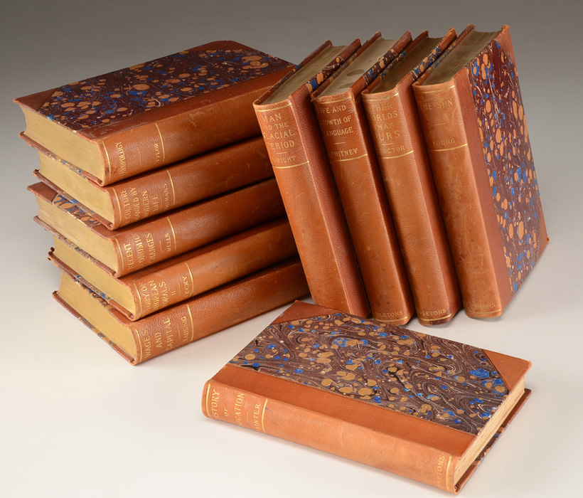 Antique D. Appleton and Company Leather Bound Books