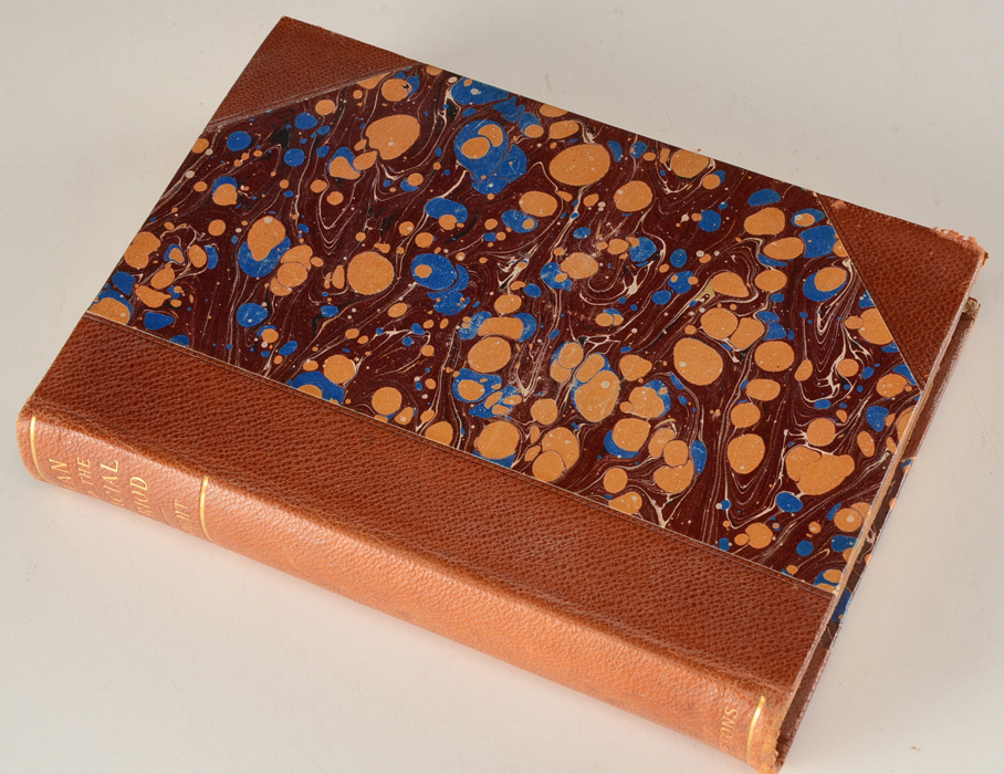Antique D. Appleton and Company Leather Bound Books