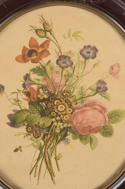 Jean-Louis Prévost Vintage Botanical Prints