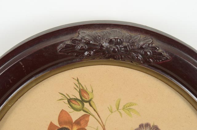 Jean-Louis Prévost Vintage Botanical Prints