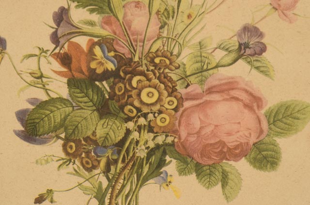 Jean-Louis Prévost Vintage Botanical Prints