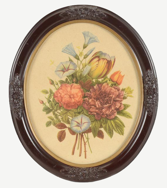 Jean-Louis Prévost Vintage Botanical Prints