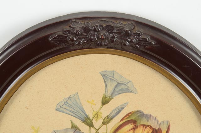 Jean-Louis Prévost Vintage Botanical Prints