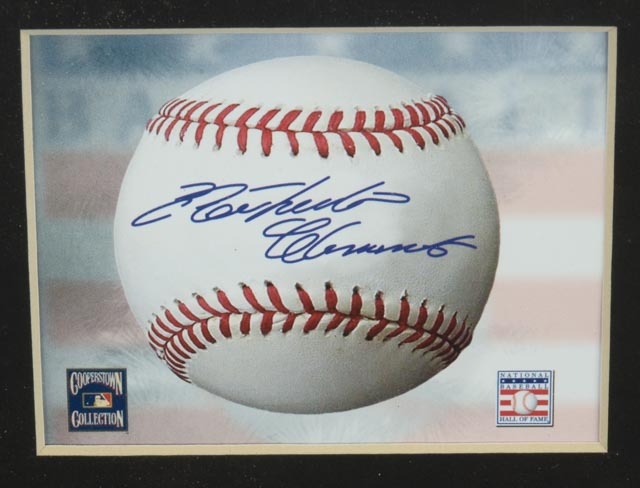 Roberto Clemente Toon Art Display