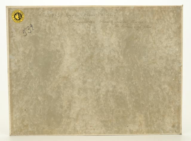 Dora McCollister Oil on Board "Royal Palm Gardens"