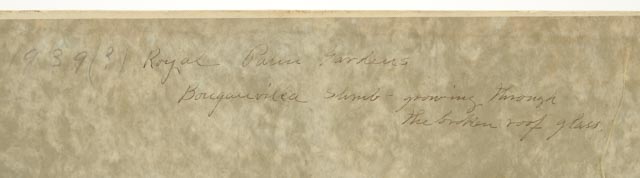 Dora McCollister Oil on Board "Royal Palm Gardens"