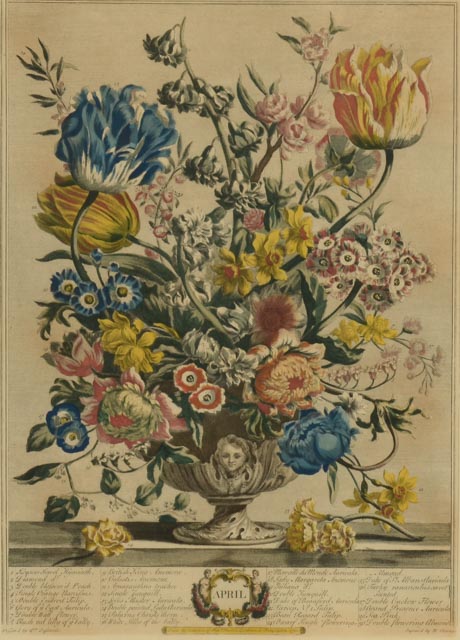 Robert Furber "12 Months of Flowers" Hand-Colored Lithograph