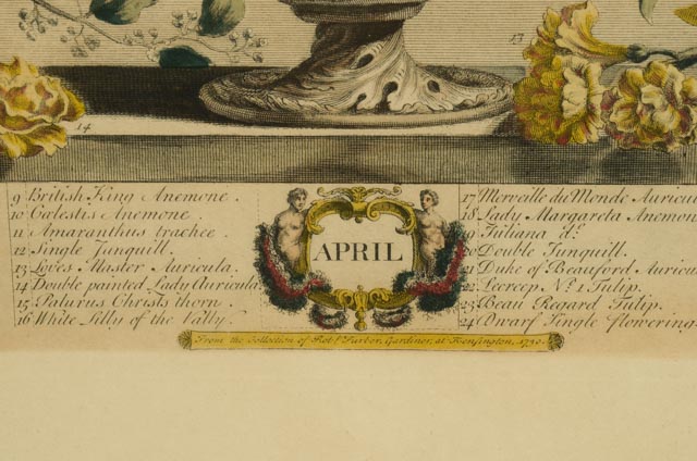 Robert Furber "12 Months of Flowers" Hand-Colored Lithograph