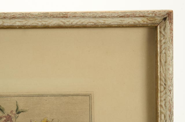 Robert Furber "12 Months of Flowers" Hand-Colored Lithograph