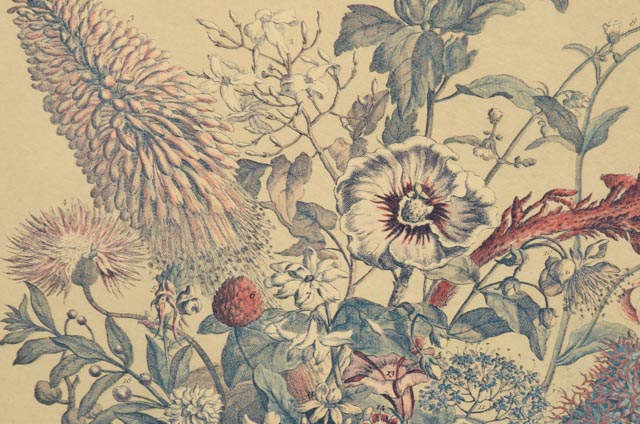 Pair of Robert Furber "12 Months of Flowers" Offset Lithographs