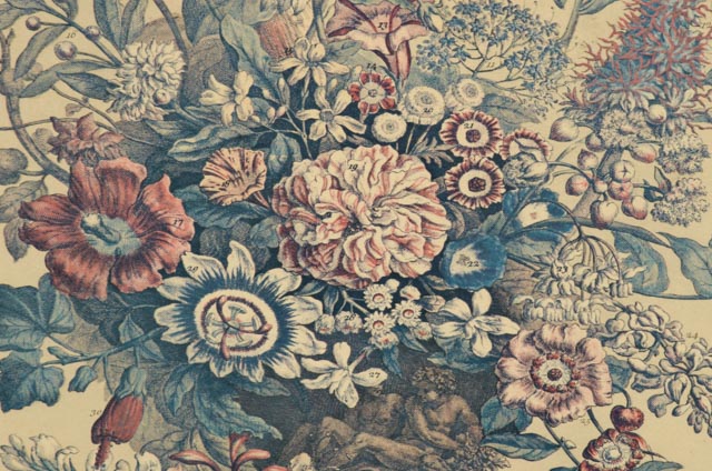 Pair of Robert Furber "12 Months of Flowers" Offset Lithographs