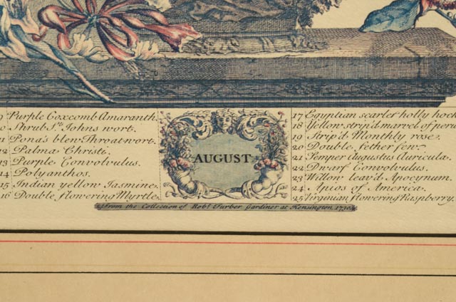 Pair of Robert Furber "12 Months of Flowers" Offset Lithographs