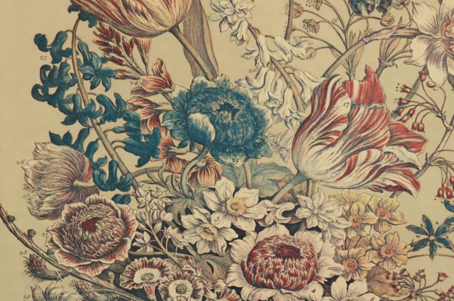 Pair of Robert Furber "12 Months of Flowers" Offset Lithographs