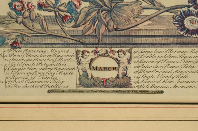 Pair of Robert Furber "12 Months of Flowers" Offset Lithographs