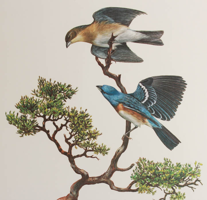 Quintet of Signed Ray Harm Prints