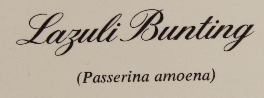 Quintet of Signed Ray Harm Prints