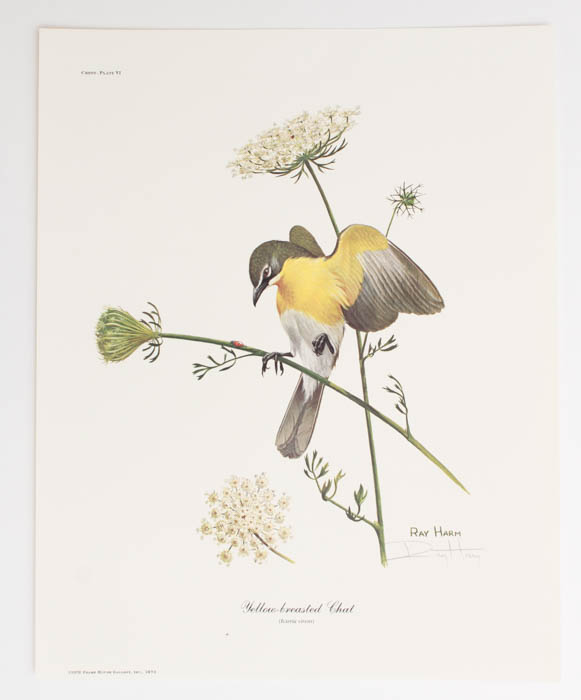 Quintet of Signed Ray Harm Prints