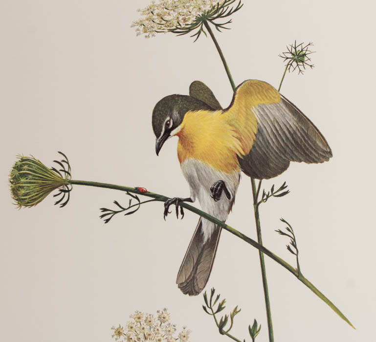 Quintet of Signed Ray Harm Prints