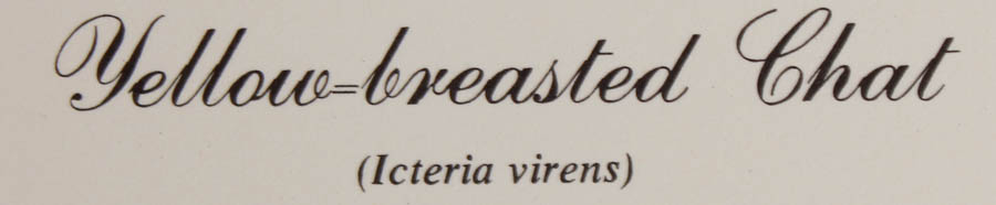 Quintet of Signed Ray Harm Prints