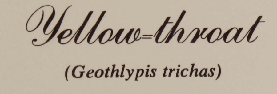 Quintet of Signed Ray Harm Prints