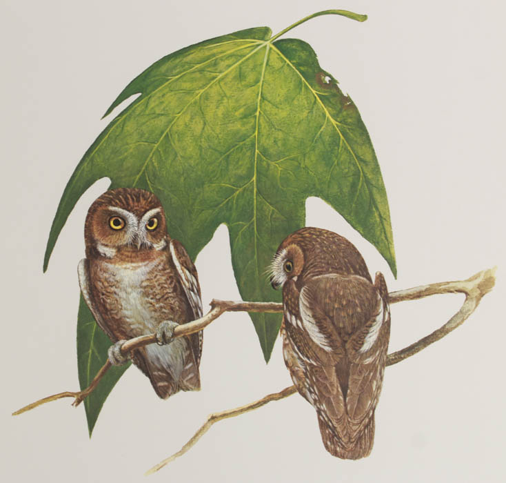 Quintet of Signed Ray Harm Prints